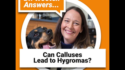 Can Calluses Lead to Hygromas?