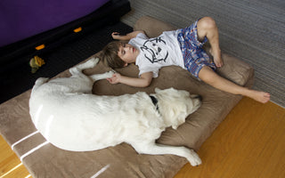 From 2 Words to 200: How A Dog Transformed the Life of a Boy With Autism