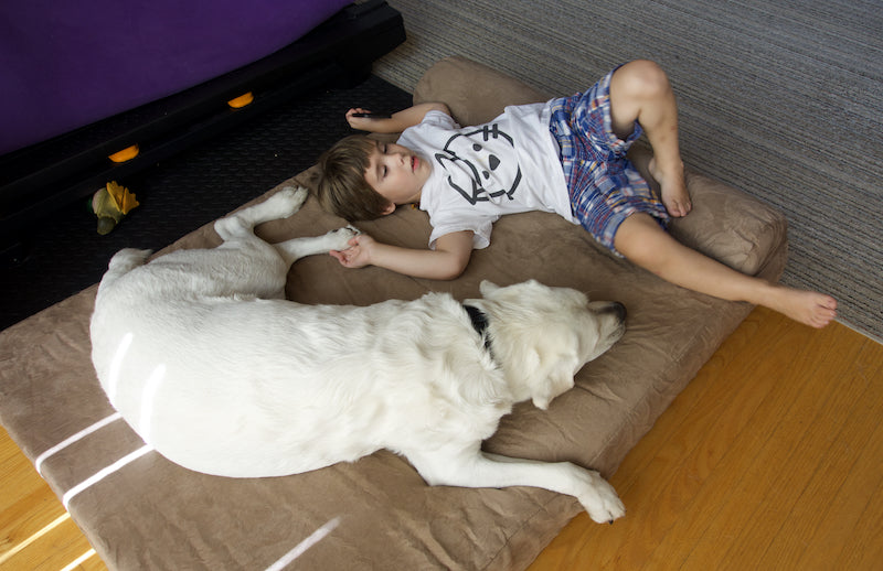 From 2 Words to 200: How A Dog Transformed the Life of a Boy With Autism