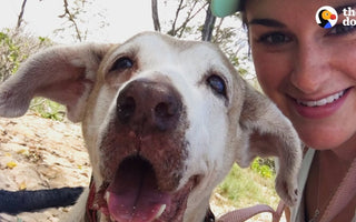 Dog Who Spent 7 Years In The Shelter Is SO Happy To Have A Family