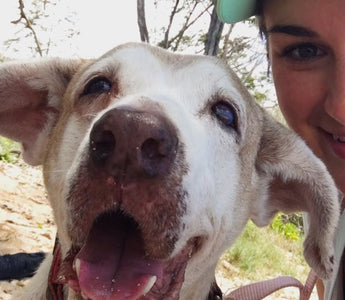 Dog Who Spent 7 Years In The Shelter Is SO Happy To Have A Family