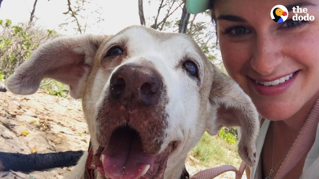 Dog Who Spent 7 Years In The Shelter Is SO Happy To Have A Family