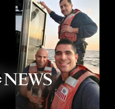 Dog rescued by US Coast Guard