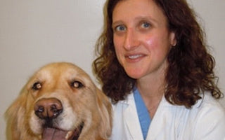 Canine Joint Disease and Pain Management: Big Barker Interviews Penn Vet's Dr. Kimberly Agnello