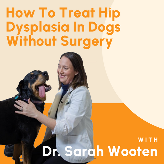 How To Treat Hip Dysplasia In Dogs Without Surgery