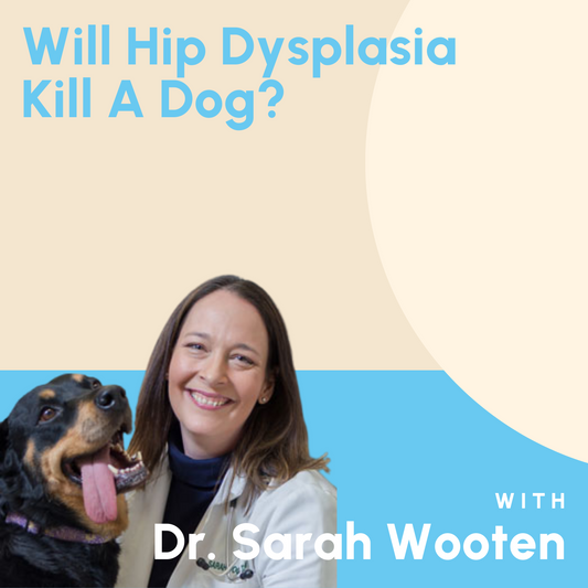 Will Hip Dysplasia Kill A Dog?