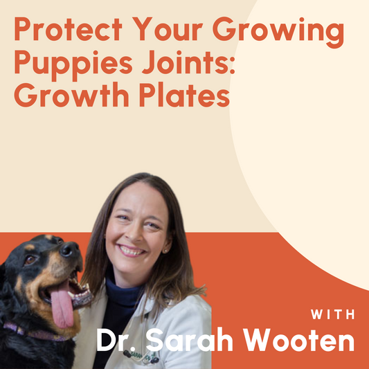 Protect Your Growing Puppies Joints: Growth Plates