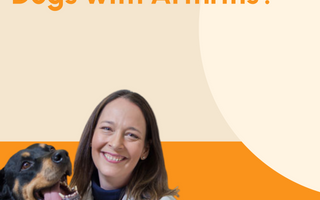 Is CBD Oil Good for Dogs with Arthritis?
