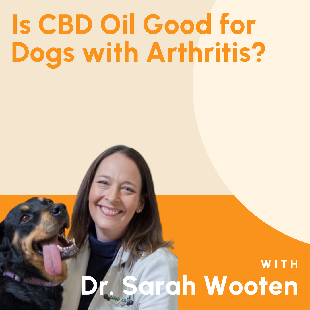 Is CBD Oil Good for Dogs with Arthritis?