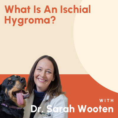 What Is An Ischial Hygroma?