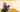 What's the Difference Between Canine Arthritis and Degenerative Myelopathy?