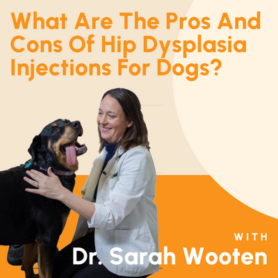 What Are The Pros And Cons Of Hip Dysplasia Injections For Dogs?