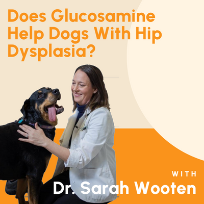 Does Glucosamine Help Dogs With Hip Dysplasia?