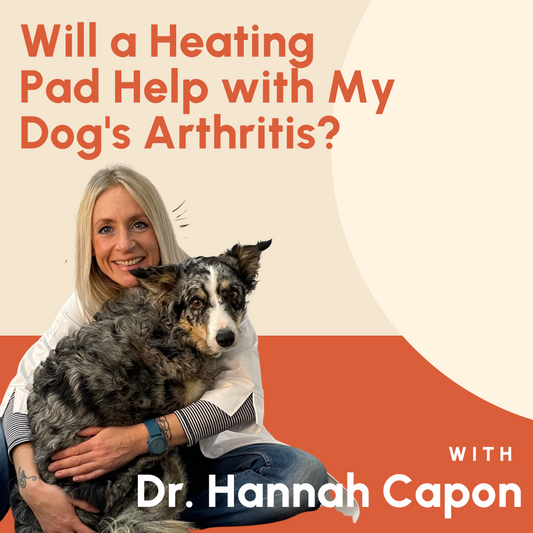 Will a heating pad help with my dog's arthritis?