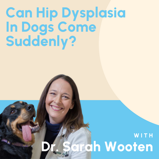 Can Hip Dysplasia In Dogs Come Suddenly?