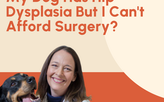 hip dysplasia cost