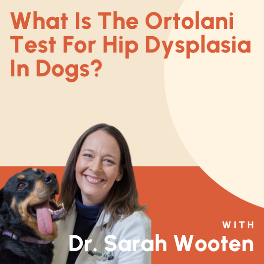 What Is The Ortolani Test For Hip Dysplasia In Dogs?