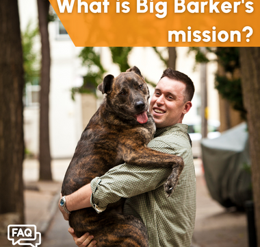 What is Big Barker's Mission?