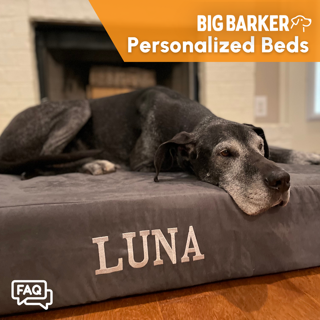 Can I Get My Dog's Name on Their Big Barker?