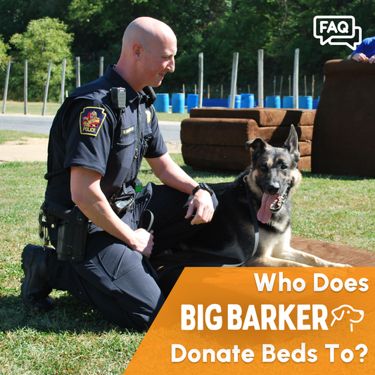 Who Does Big Barker Donate Beds To?