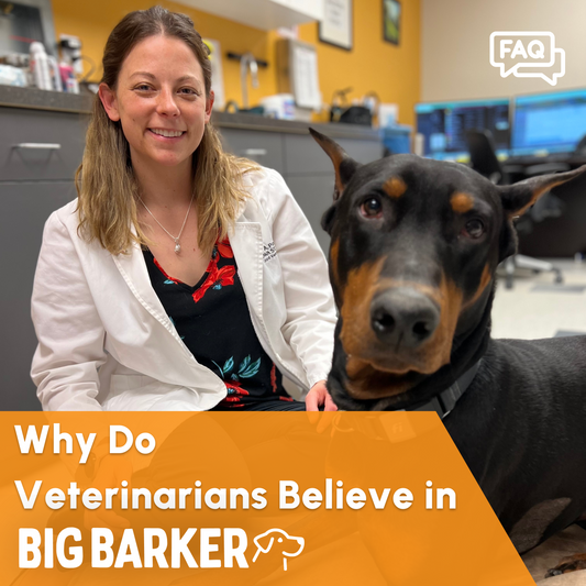 Why Do Veterinarians Believe in Big Barker?