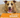 What is the difference between a Big Barker Bed and a normal dog bed?