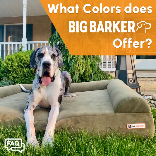 Does Big Barker Offer Any Other Colors?