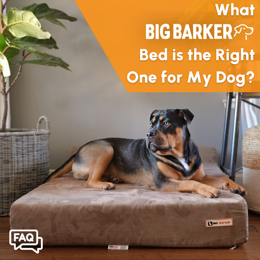 What Big Barker Bed is the Right One For My Dog?