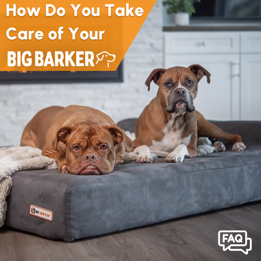 Taking Care of Your Big Barker Bed