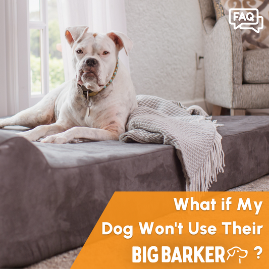 What If My Dog Won’t Use Their Big Barker?
