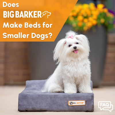 Does Big Barker Make Beds for Smaller Dogs?
