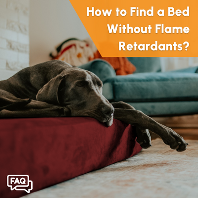 How to Find a Bed Without Flame Retardants