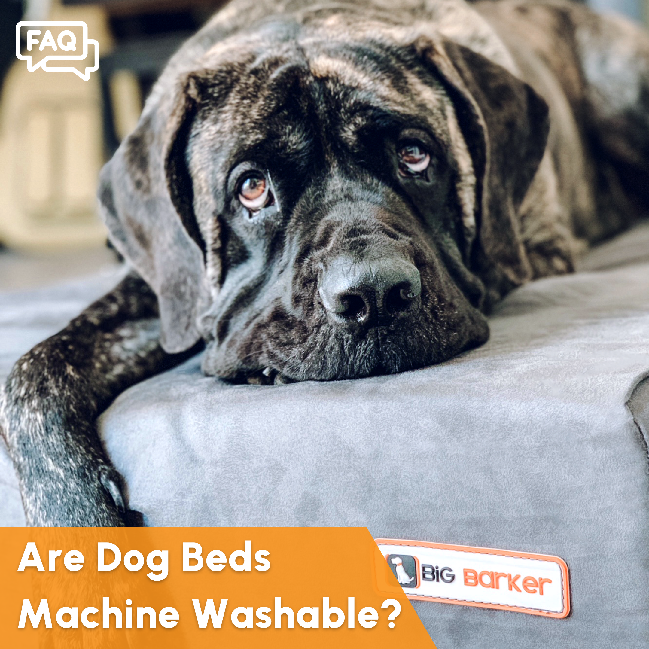 Fully machine washable dog beds best sale