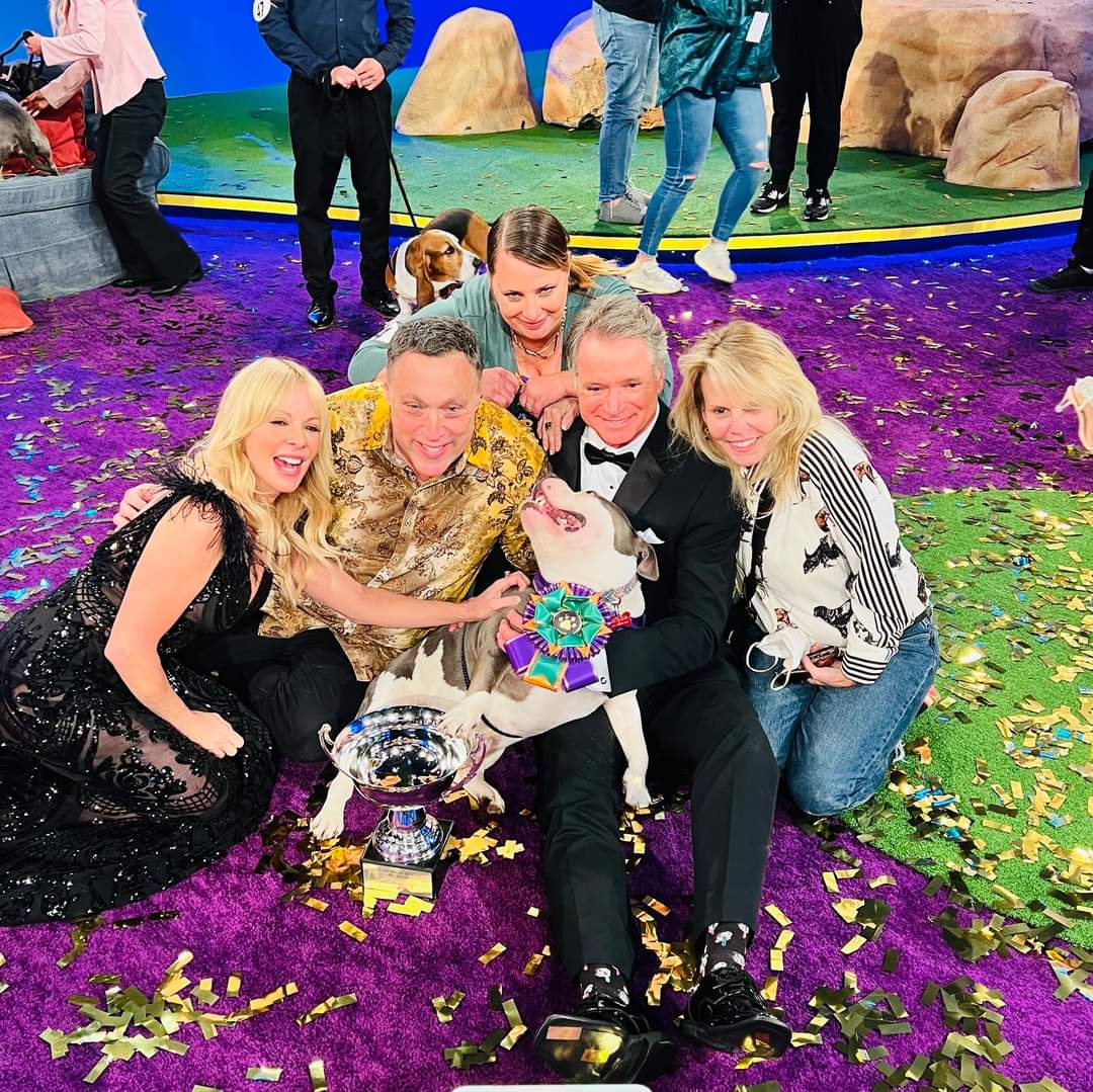 Meet Capone, the Winner of "Best in Rescue" 2022