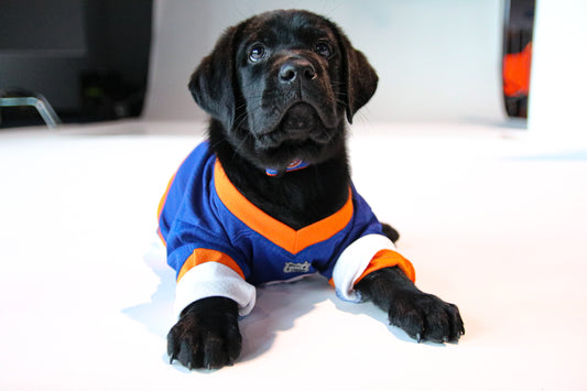 The Islanders and the Guide Dog Foundation Hit the Rink with a New Puppy