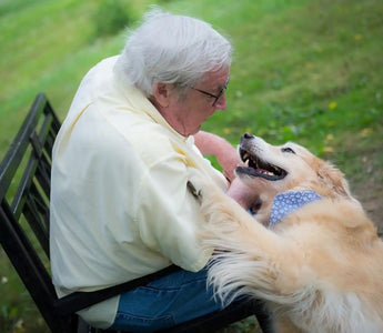man and dog looking at each other lovingly