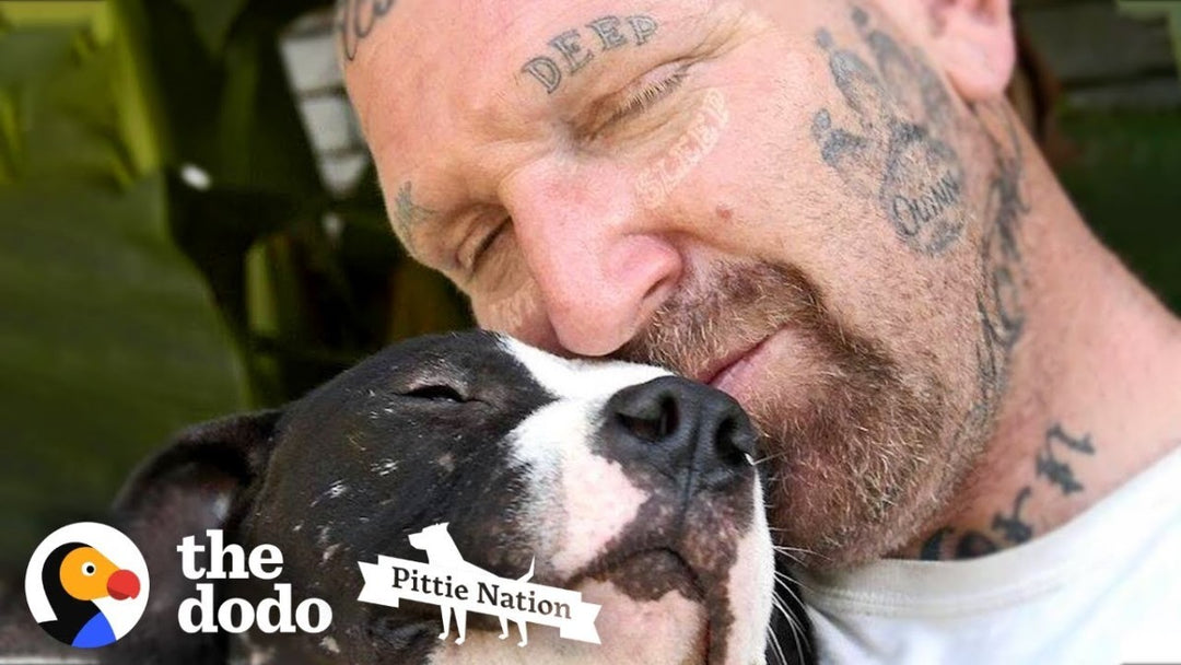 Guy Fills His Home With Pitties No One Wants