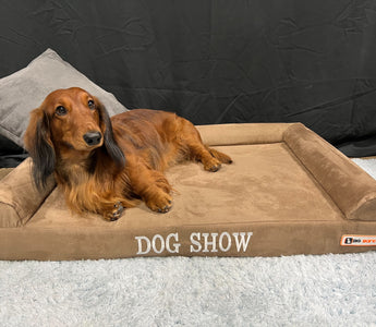 Big Barker Meets National Dog Show!