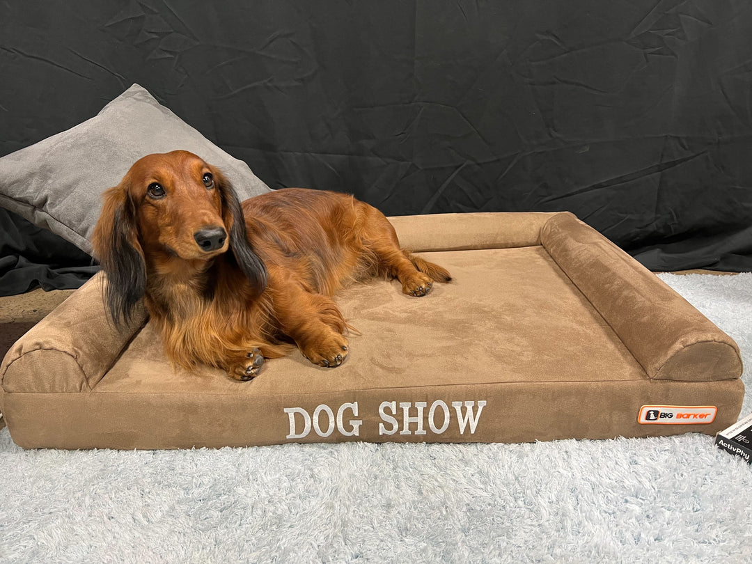 Big Barker Meets National Dog Show!