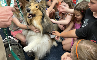 Meet Our Next Good Dog Gold Medal Winner: Ingrid!