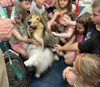 Meet Our Next Good Dog Gold Medal Winner: Ingrid!