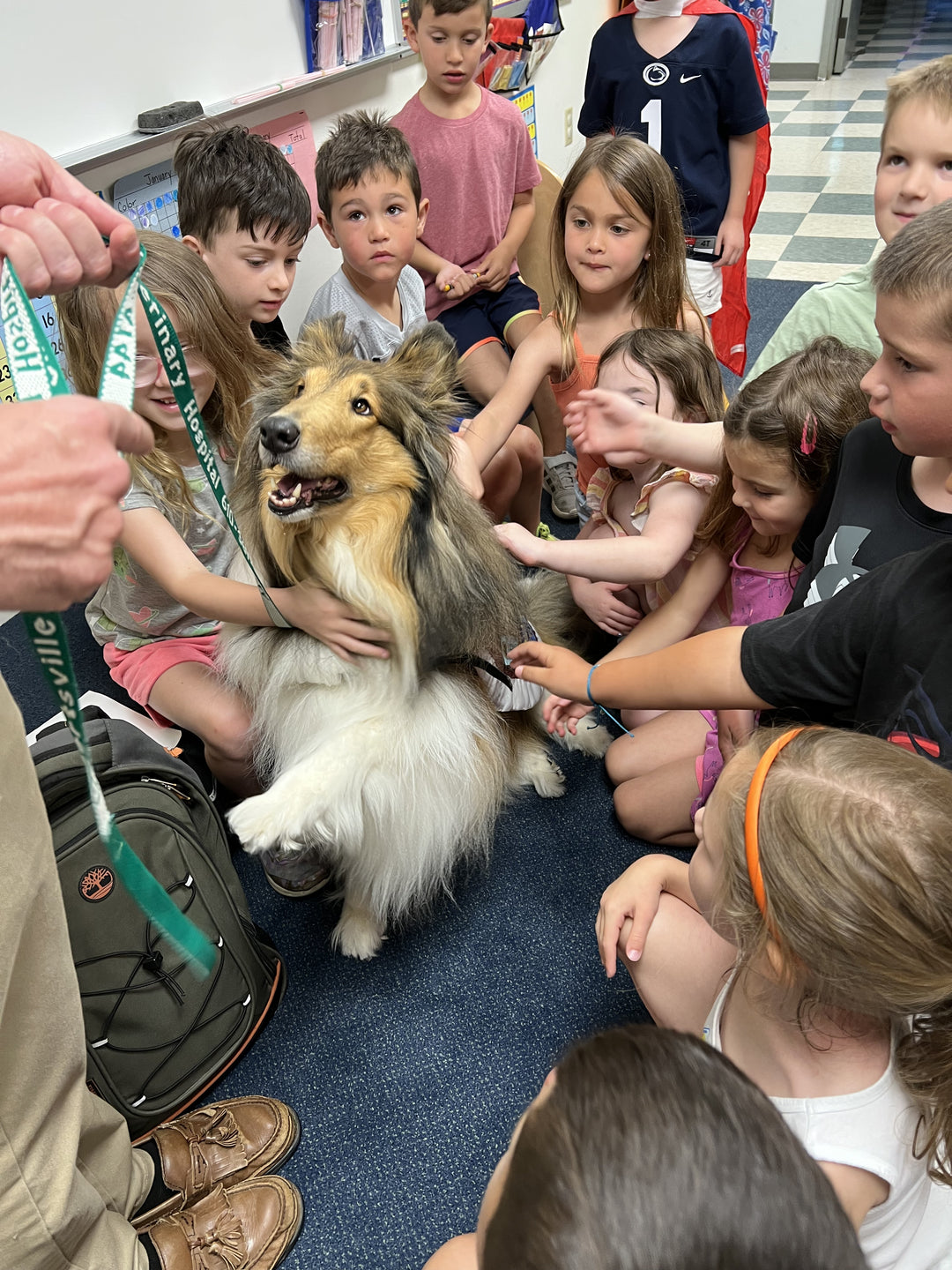 Meet Our Next Good Dog Gold Medal Winner: Ingrid!