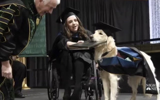 Service Dog Receives An Honorary Diploma When His Owner Gets Her Degree