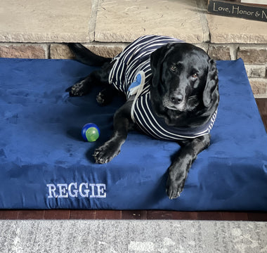Reggie's Road to Recovery