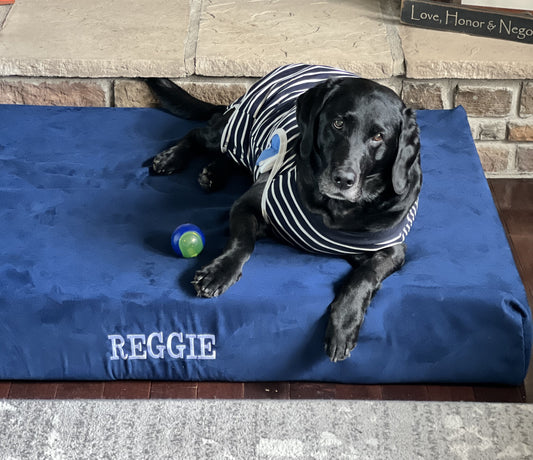 Reggie's Road to Recovery