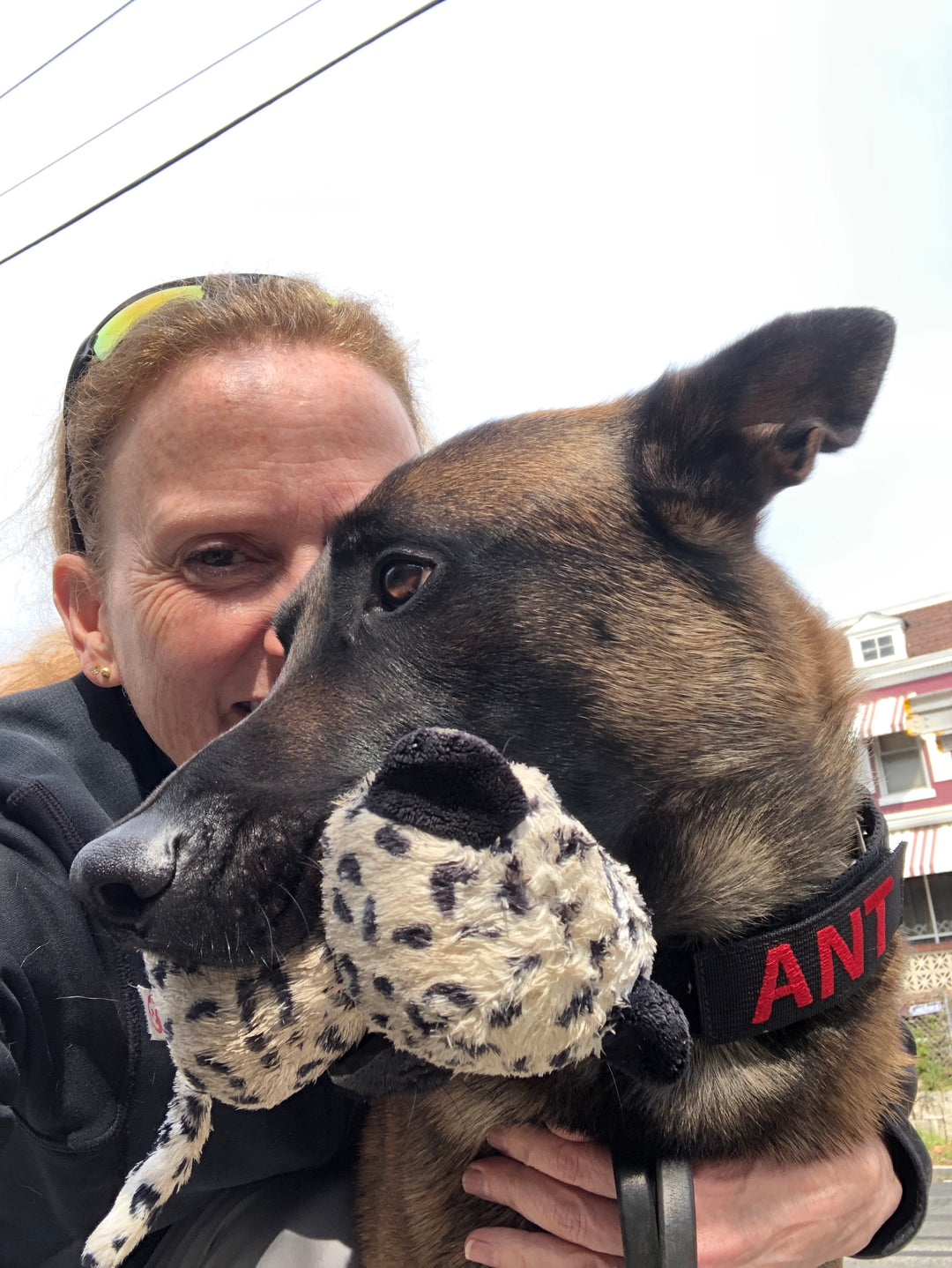 Ant Update: Almost One Week Post Surgery!