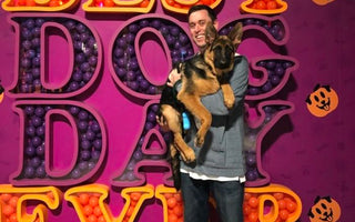 The Best Dog Day Ever!