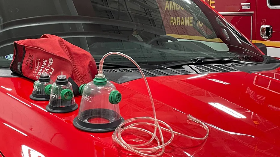 Donated Oxygen Masks Help Save Hero Dog