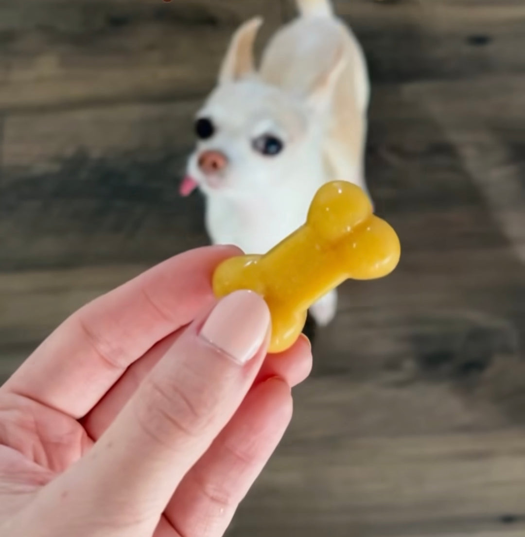 Turkey Pumpkin Dog Treats
