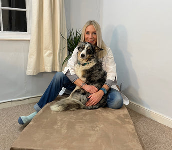 What are the top 3 ways sleep impacts a dog’s health?